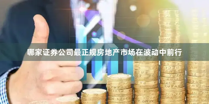 哪家证券公司最正规房地产市场在波动中前行