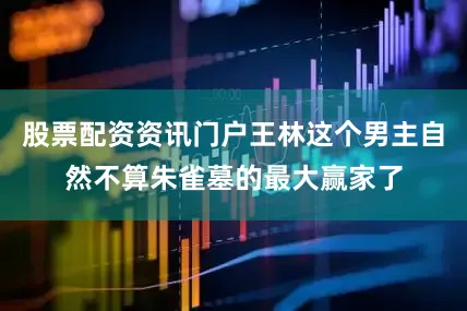 股票配资资讯门户王林这个男主自然不算朱雀墓的最大赢家了