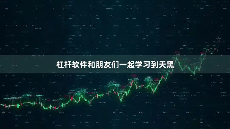 杠杆软件和朋友们一起学习到天黑
